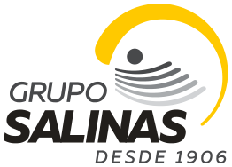 Grupo Salinas